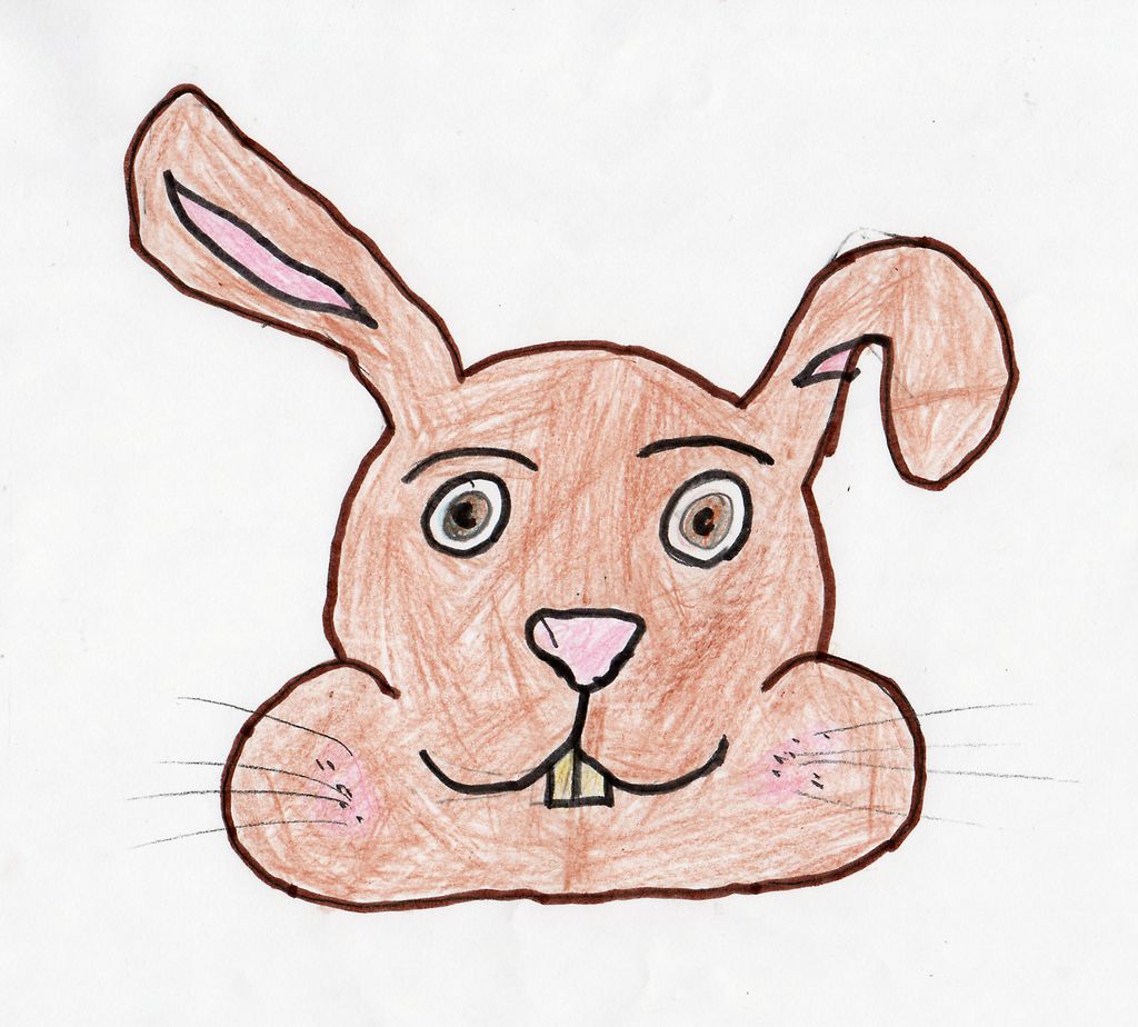 Hasenkopf gezeichnet von Noah Harrer